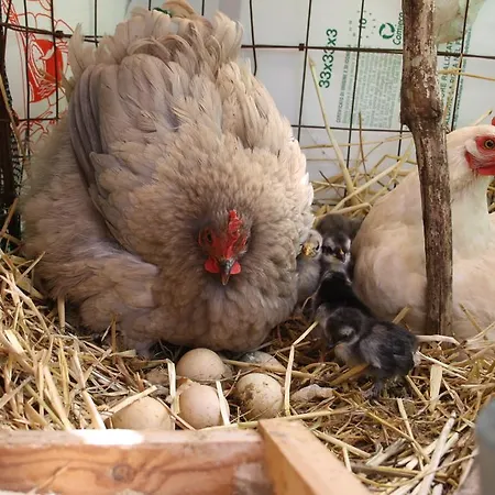 La Cascata Alojamento de Acomodação e Pequeno-almoço