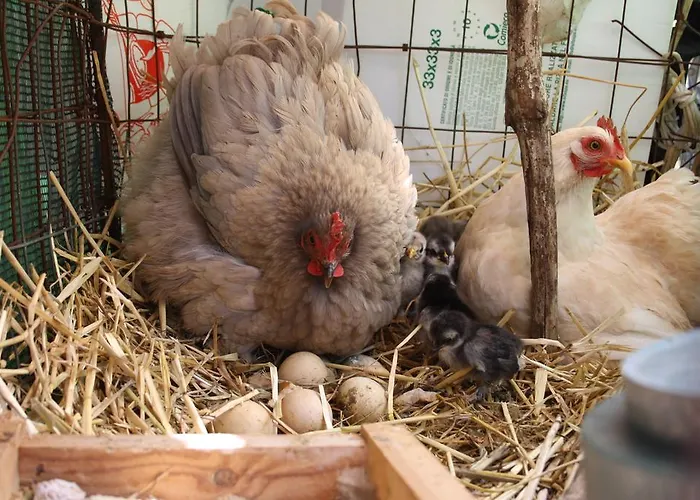 La Cascata Bed & Breakfast