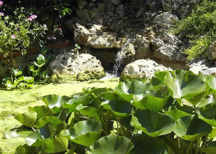 Bed & Breakfast La Cascata Noci