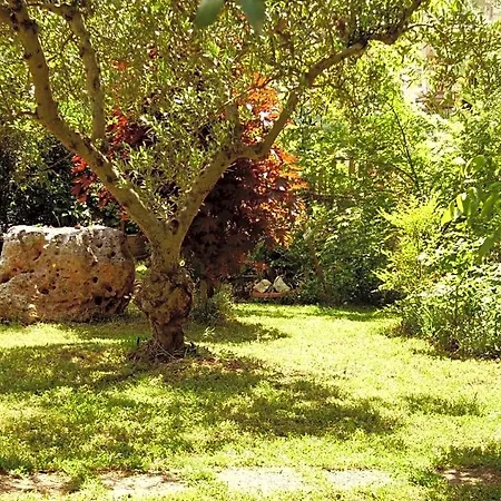 Bed & Breakfast La Cascata